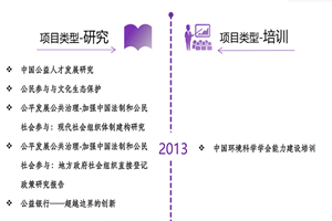 鸡巴啊啊啊非评估类项目发展历程